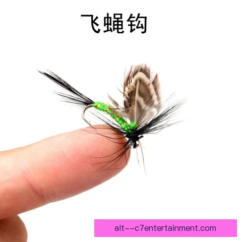 飞钓钓组合规受关注，抛投与线组搭配更严谨